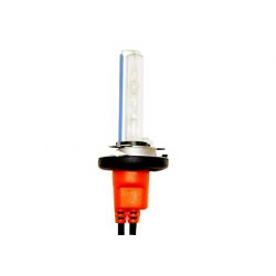 Ampoules D1S 55W xenon Next-Tech - Vendues par paire