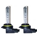 Ampoules xenon HIR2 9012 55W de rechange Next-Tech® - Vendues par paire