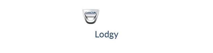 Kit xénon et ampoules LED canbus pour Dacia Lodgy de 2012 à 2021