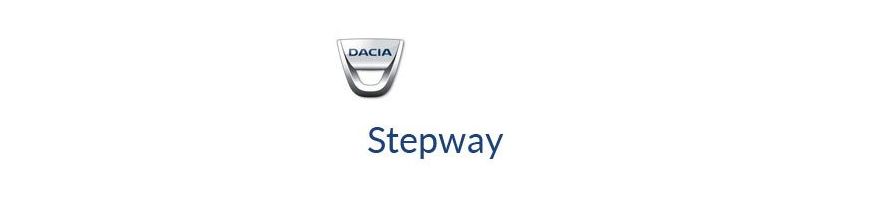 Kit xénon et ampoules LED canbus pour Dacia Stepway 2 2012 à 2021