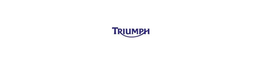 Kit xénon et ampoules LED canbus pour moto Triumph