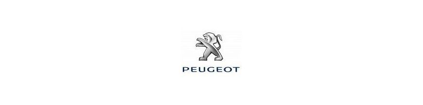 Kit xénon et ampoules LED canbus pour scooter Peugeot