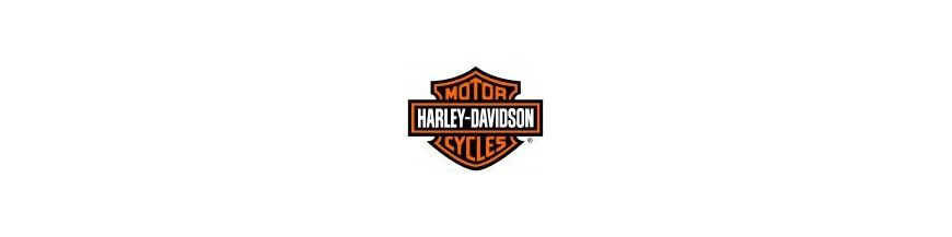 Kit xénon et ampoules LED canbus pour votre moto Harley Davidson