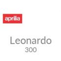 Leonardo 300 2002 à 2005