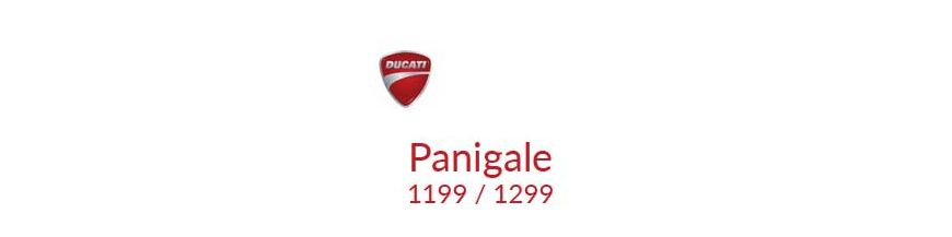 Kit xénon et ampoules LED canbus Ducati Panigale 1199 / 1299 12 - 19