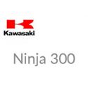 Ninja 300 2013 à 2018