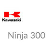 Ninja 300 2013 à 2018