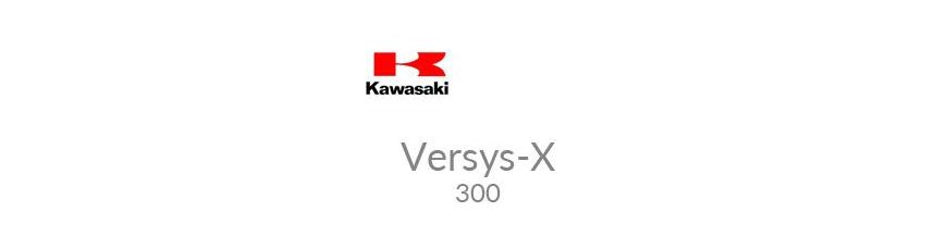 Kit xénon et ampoules LED canbus moto Kawasaki Versys-X 300 17 - 20