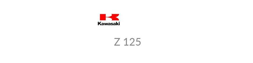 Kit xénon et ampoules LED canbus pour votre moto Kawasaki Z125 18 - 19