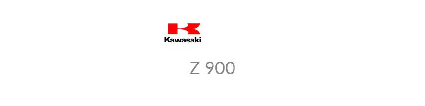 Kit xénon et ampoules LED canbus pour votre moto Kawasaki Z900 17 - 19