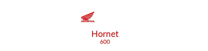 Kit xénon et ampoules LED canbus pour moto Honda Hornet 600 07 - 10