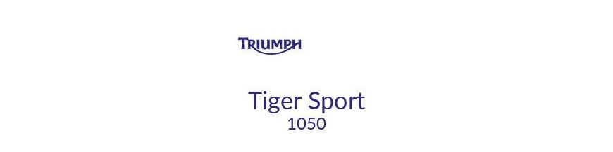 Kit xénon ampoules LED canbus moto Triumph Tiger Sport 1050 13 - 21