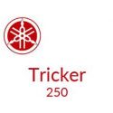 Tricker 250 2005 à 2007