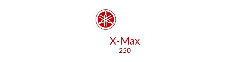 Kit xénon et ampoules LED canbus votre moto Yamaha X-Max 250 10 - 13