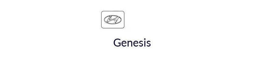 Kit xénon et ampoules LED canbus pour voiture Hyundai Genesis 10 - 13