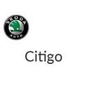 Citygo 2012 à 2020