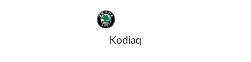 Kit xénon et ampoules LED canbus pour voiture Skoda Kodiak 17-21