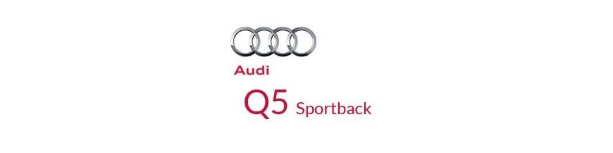 Pack ampoules LED canbus / xénon pour Audi Q5 sportback 2020 à 2024