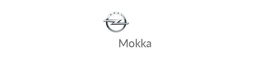 Ampoules LED et ampoules xénon pour Opel Mokka II de 2020 à 2023