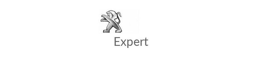 Kit xénon et ampoules LED canbus pour Expert Ph3 2016 à 2023