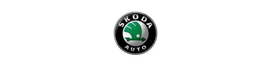 Kit xénon et ampoules LED canbus pour votre Skoda