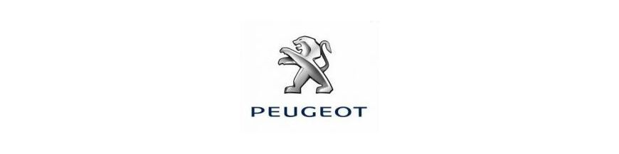 kit xénon et ampoules LED et effet xénon pour Peugeot