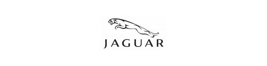 Kit xénon et ampoules LED canbus pour votre Jaguar