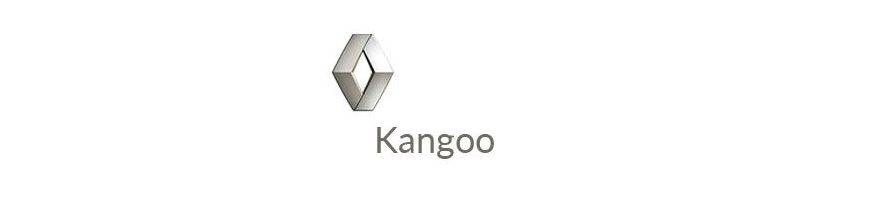 Kit xénon et ampoules LED canbus pour Renault Kangoo 1997 à 2010