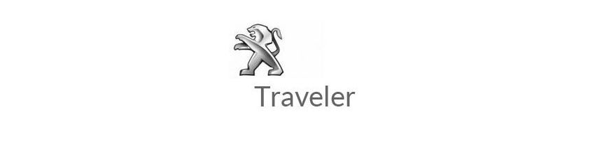 Kit xénon et ampoules LED canbus pour Peugeot Traveler de 2017 à 2021
