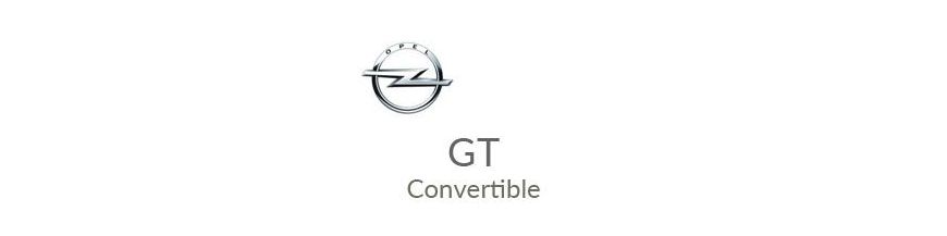 Kit xénon et ampoules LED canbus pour Opel GT Convertible