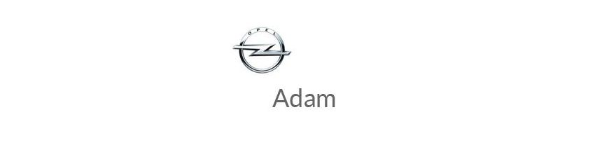 Kit xénon et ampoules LED canbus pour Opel Adam de 2014 à 2021