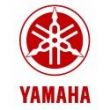 Ampoules Yamaha