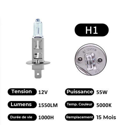 le-meilleur-choix-d-ampoule-H1-pour-votre-voiture-guide-complet-next-tech
				                    